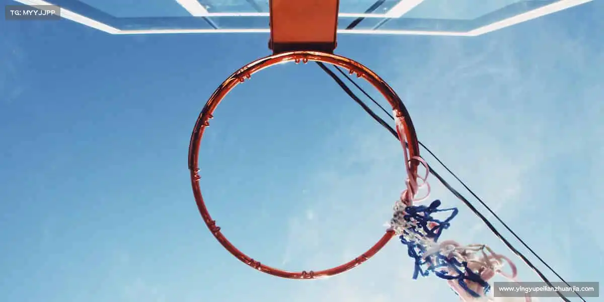 行业领先的理由